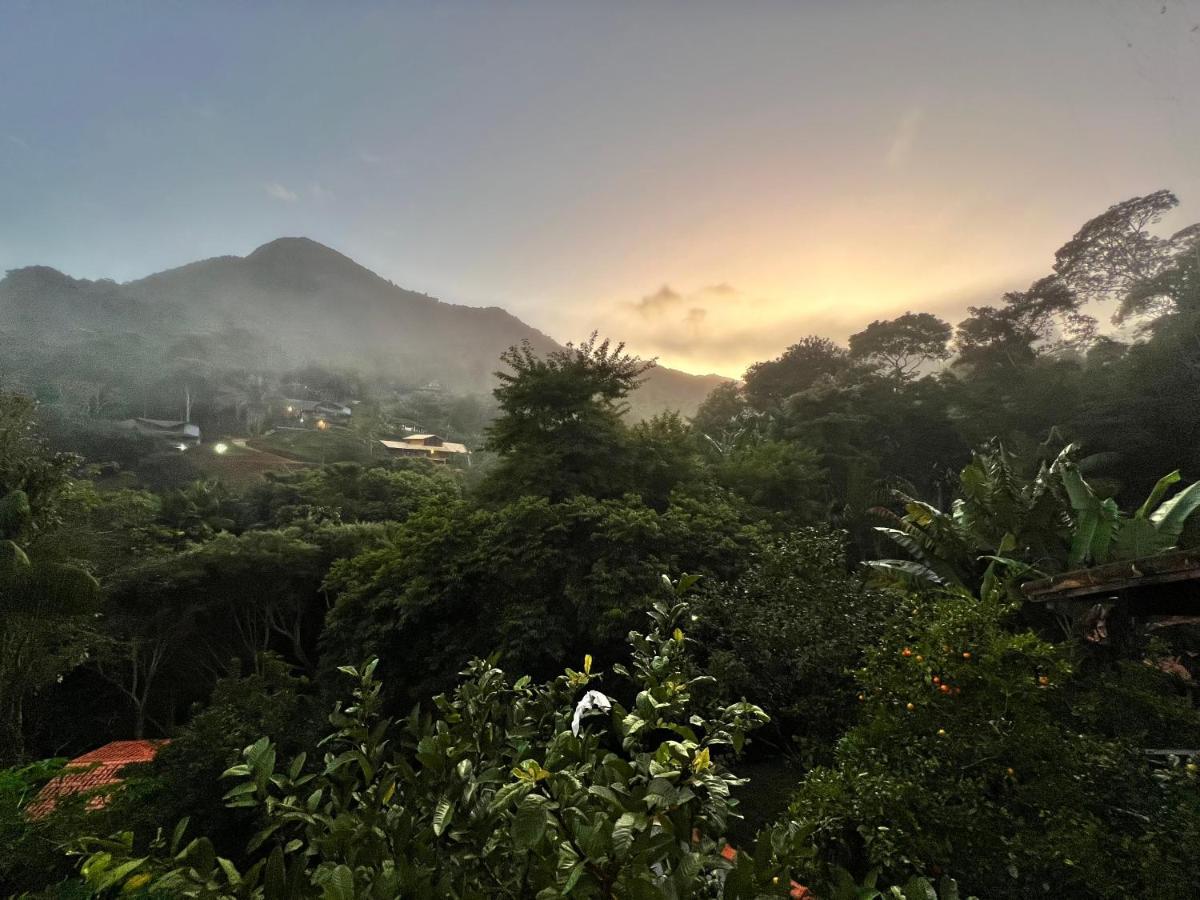 Suite Zyaarat - Conforto E Cultura Em Sao Pedro Da Serra Nova Friburgo Eksteriør billede