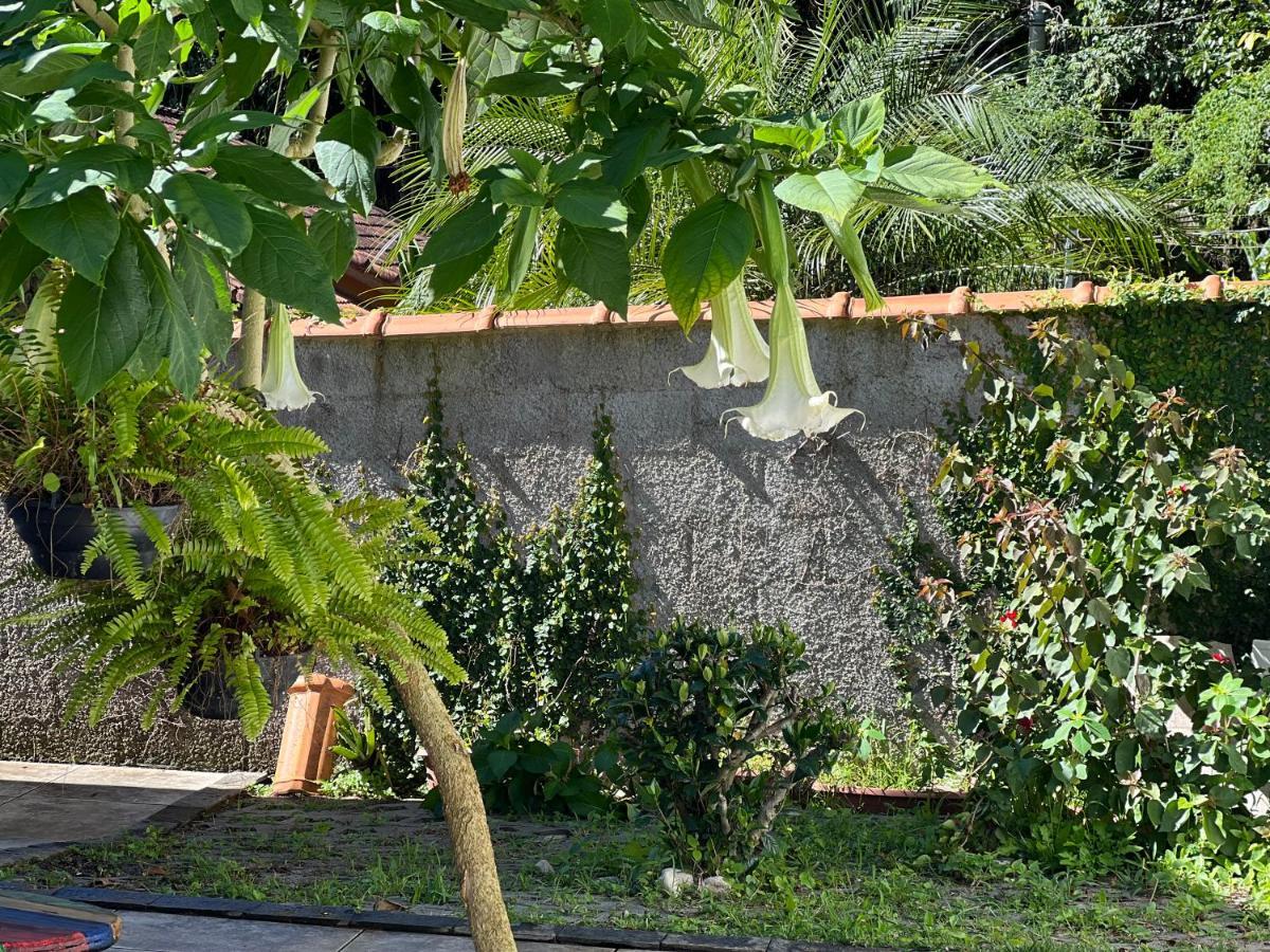 Suite Zyaarat - Conforto E Cultura Em Sao Pedro Da Serra Nova Friburgo Eksteriør billede